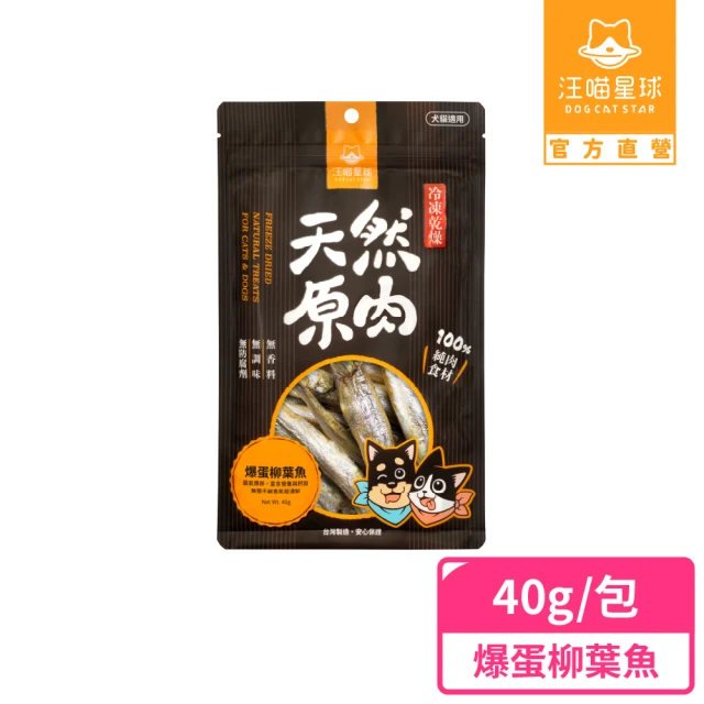 汪喵星球 爆蛋柳葉魚